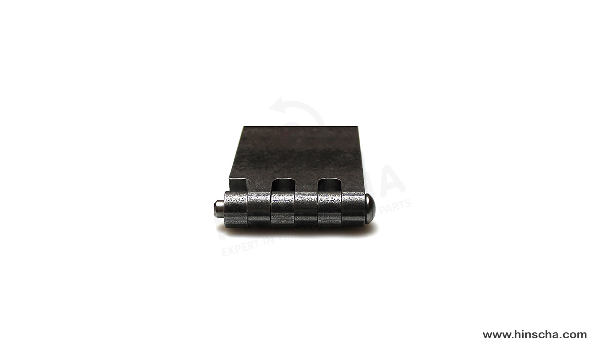 Coach hinge 60x80x7x8 mm/hardened pin