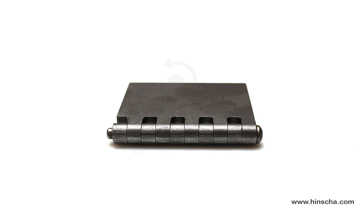 Coach hinge 100x80x6x8 mm/hardened pin