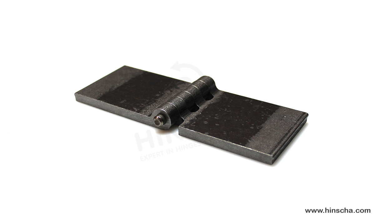 Coach hinge 60x80x7x8 mm/hardened pin