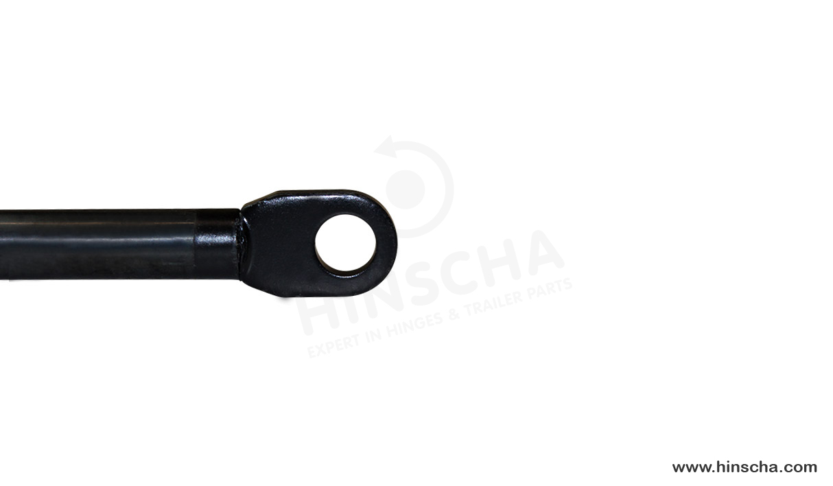Vérin à gaz Airax Rayflex 6858862503001 300N