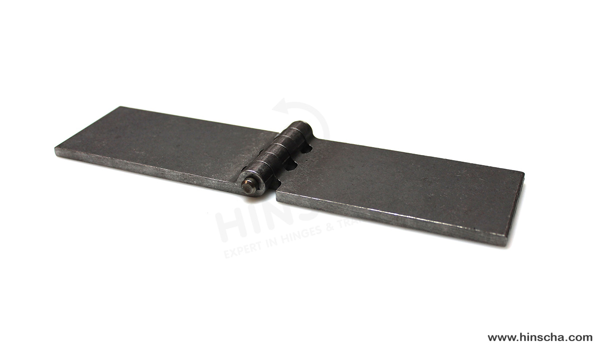 Coach hinge 60x120x6x8 mm/hardened pin