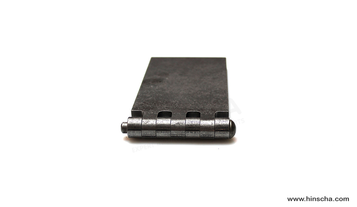 Coach hinge 70x120x6x8 mm/hardened pin
