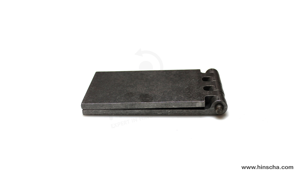 Coach hinge 70x120x6x8 mm/hardened pin