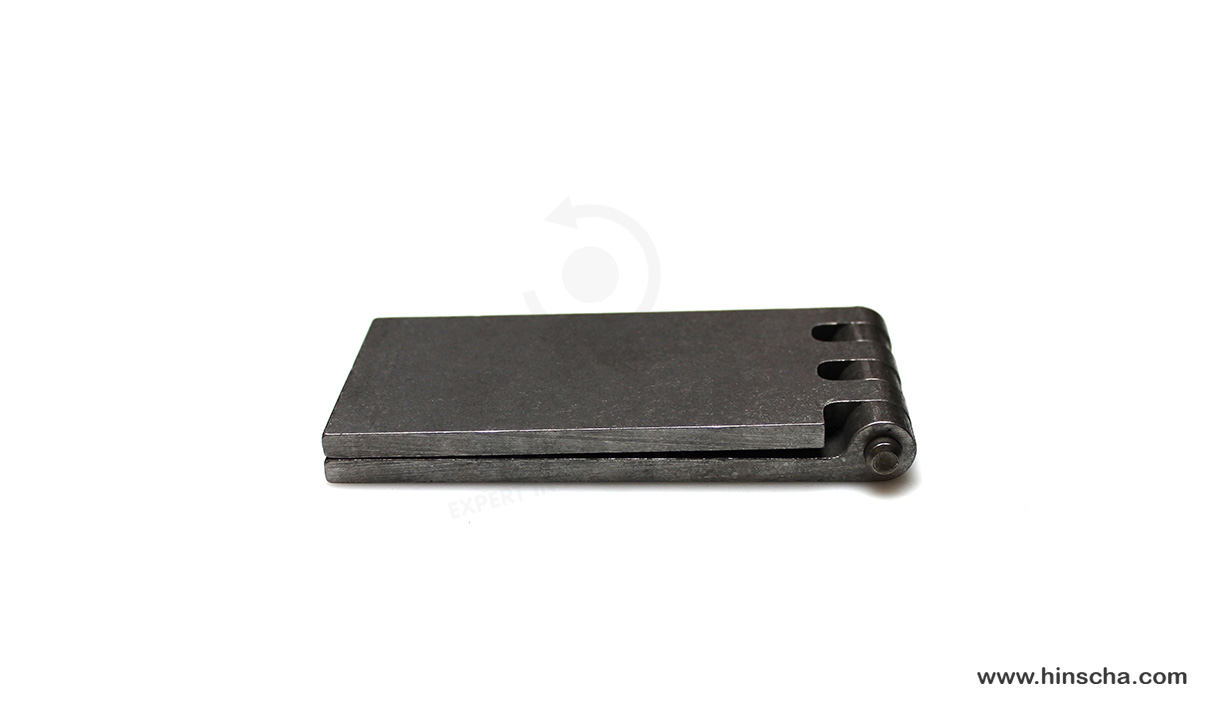 Coach hinge 60x120x6x8 mm/hardened pin