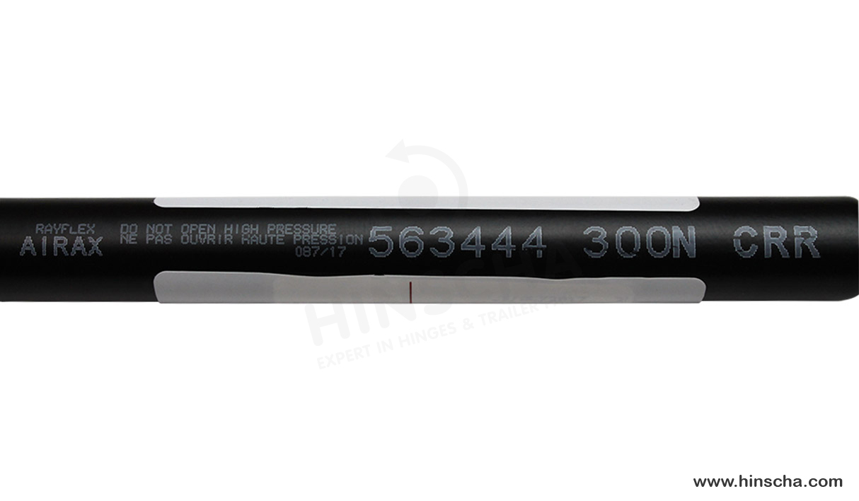 Vérin à gaz Airax Rayflex 6856344403002 300N