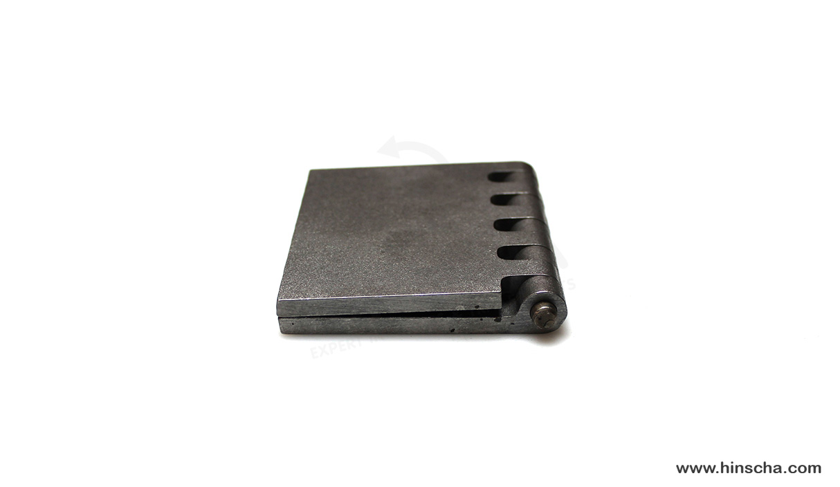 Coach hinge 100x80x6x8 mm/hardened pin