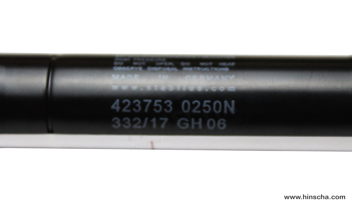 Gasfeder Stabilus 423753 0250N