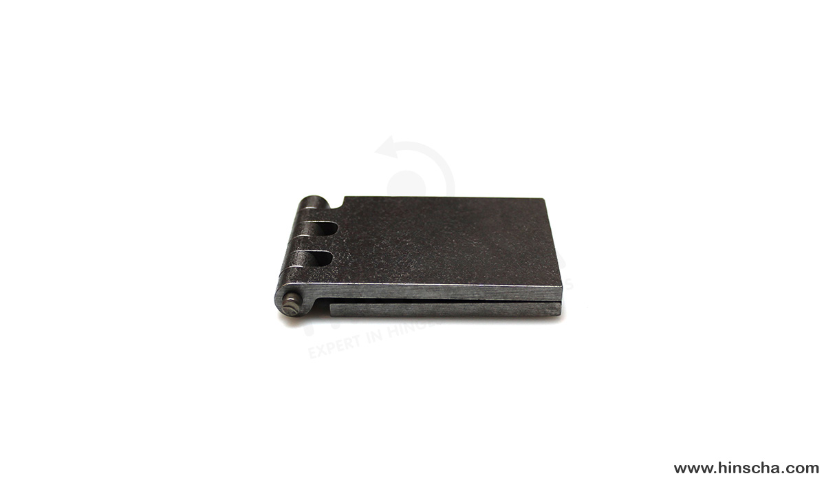 Coach hinge 60x80x5x6 mm/hardened pin