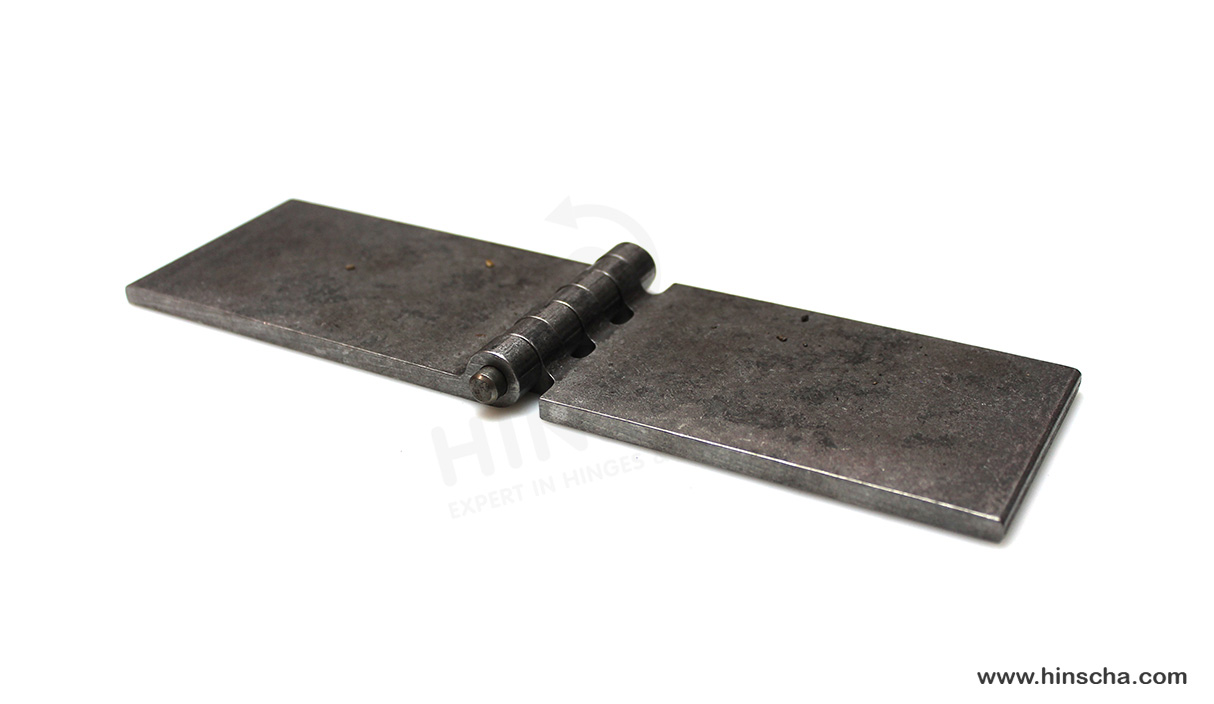 Coach hinge 70x120x6x8 mm/hardened pin