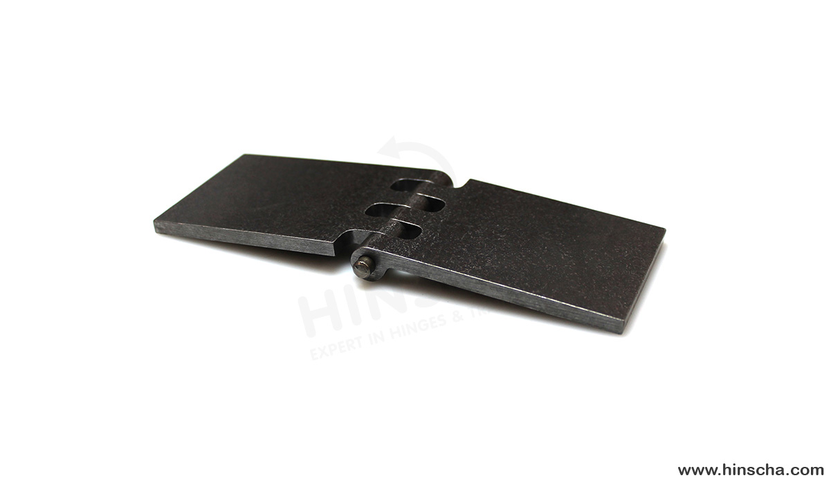 Coach hinge 60x80x5x6 mm/hardened pin