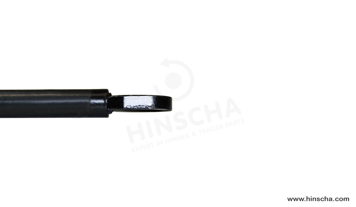 Vérin à gaz Airax Rayflex 6858862503001 300N