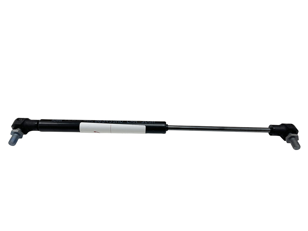 Gasfeder Airax Rayflex 6856345903002 300N