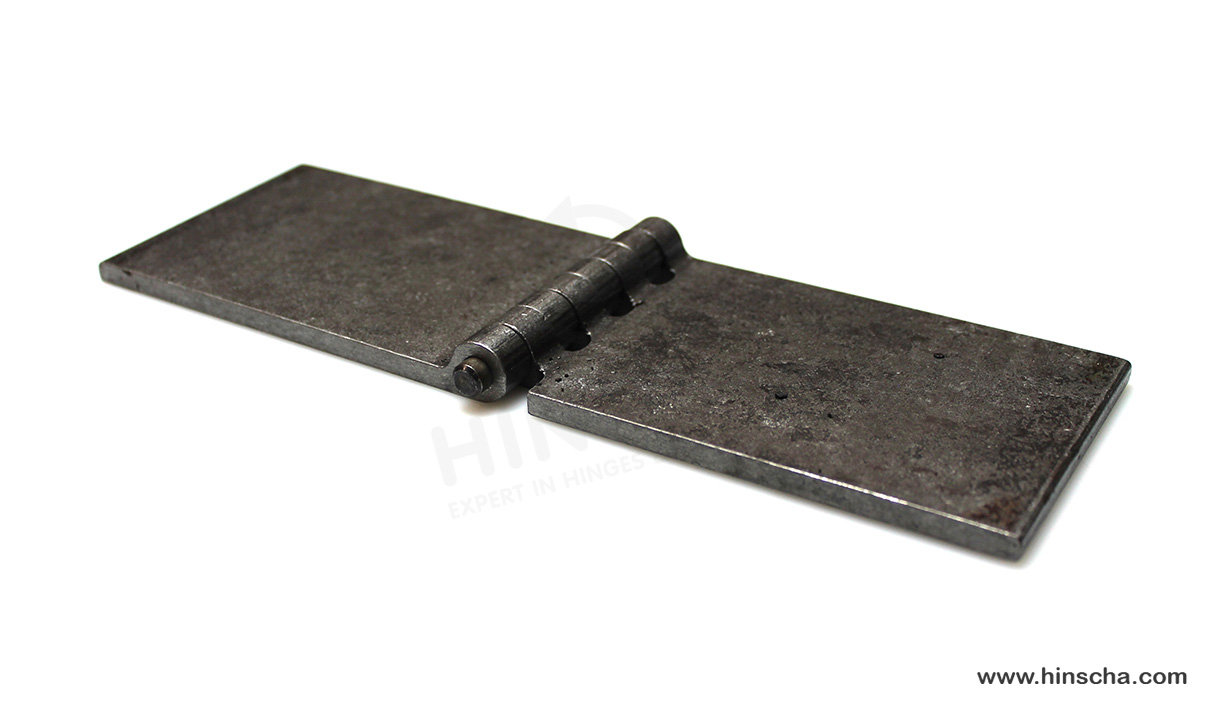 Coach hinge 80x120x6x8 mm/hardened pin