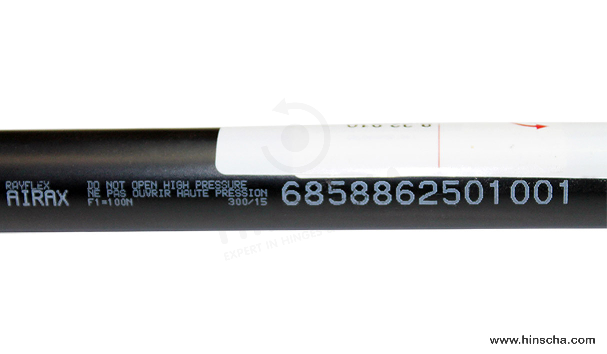 Vérin à gaz Airax Rayflex 6858862501001 100N